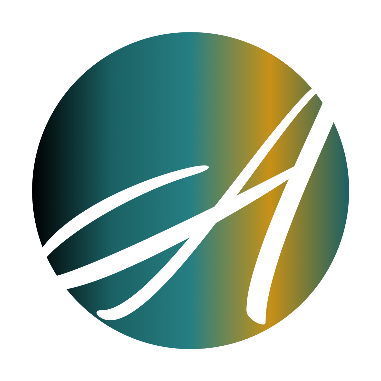 ascend ceylon icon colored